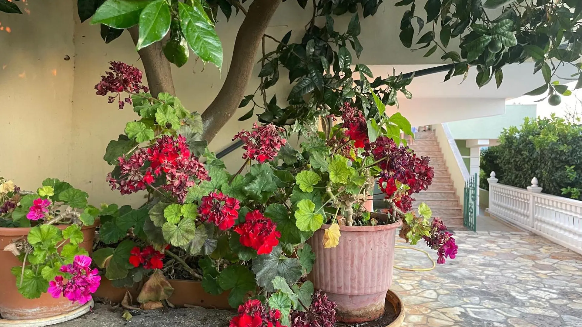 Sunset Vista Guesthouse Vlore Albania